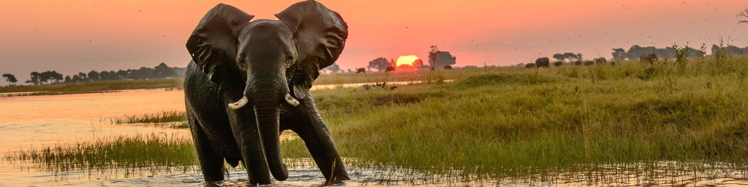 Exploring Tour Botswana & Südafrika | Abenteuerlich. Exklusiv. Intensiv. Exploring Tour Botswana & Südafrika | Abenteuerlich. Exklusiv. Intensiv.