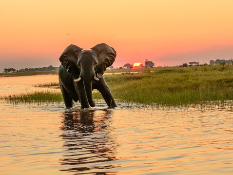 Exploring-Tour Botswana & Südafrika | Abenteuerlich. Intensiv. Exklusiv.