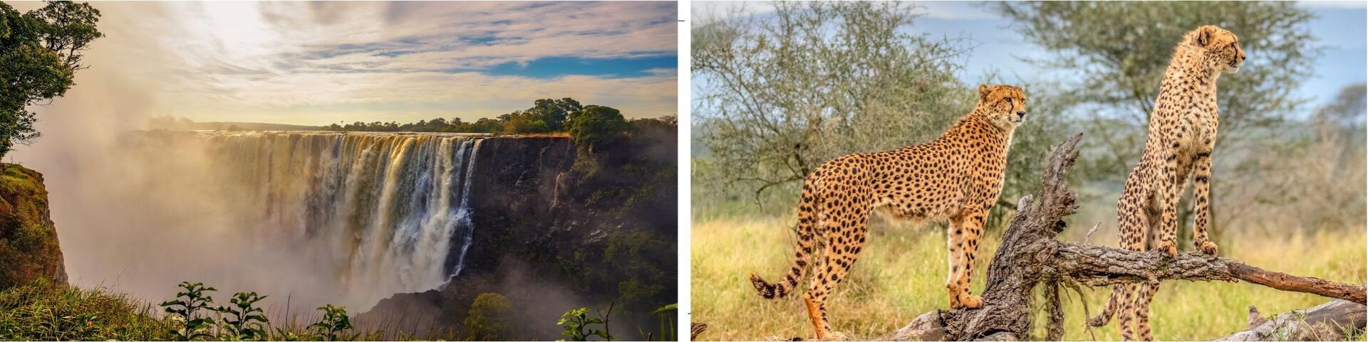 Südafrika | Wild African Fairways - Victoria Falls & Leopard Creek