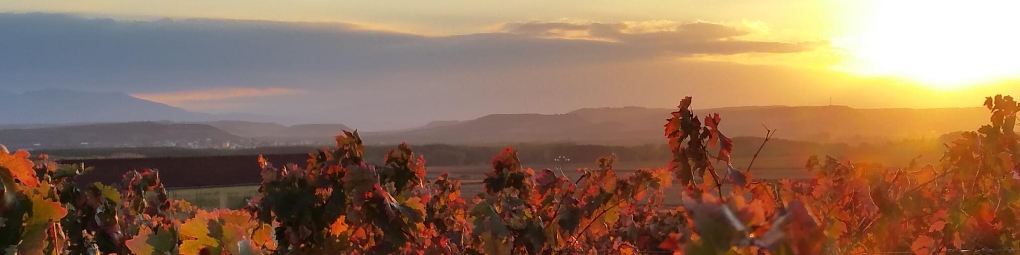 Von Bilbao nach Rioja | Gran Reservas und großartige Grüns