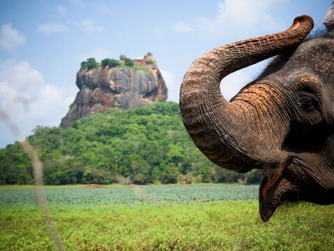 Sri Lanka | Golf & Kultur-Rundreise zwischen Fairways & Tempeln