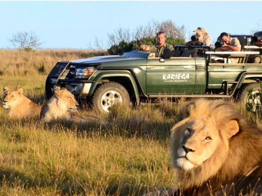 Silvester in Südafrika | Golf &amp; Safari | Kapstadt - Stellenbosch - Kariega